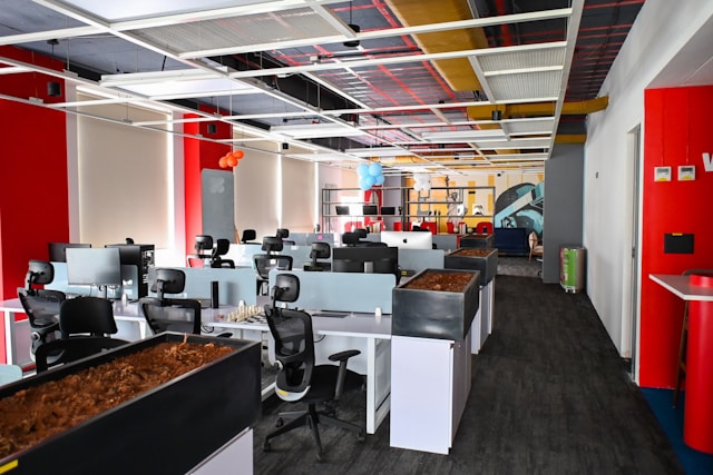 SAPNEX gallery photo 2