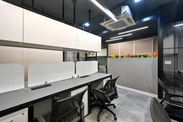 SAPNEX gallery photo 3
